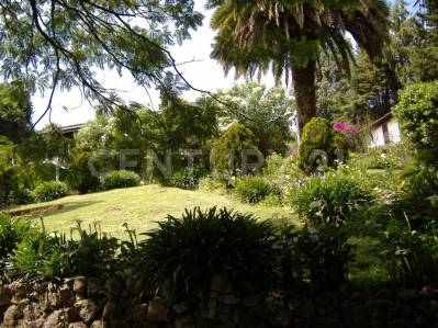 Rancho en San Antonio Zoyatzingo miniatura 4