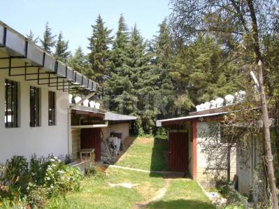 Rancho en San Antonio Zoyatzingo miniatura 7